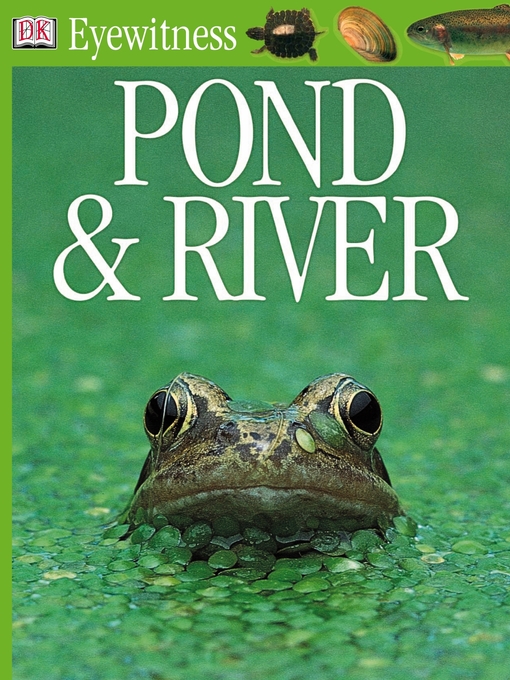 Title details for Pond and River by DK - Available